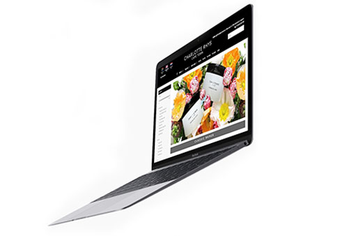 Diseño de Paginas Web en Chihuahua